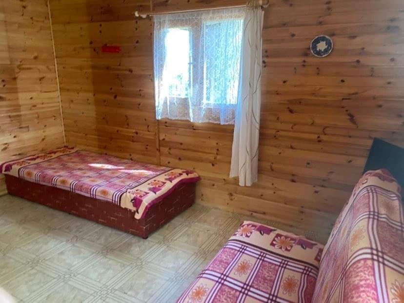 Domki Szumi Las Mrzezyno Ngoại thất bức ảnh